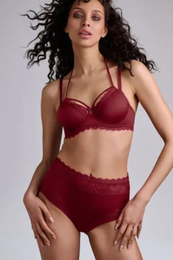 carita-high-waist-briefs