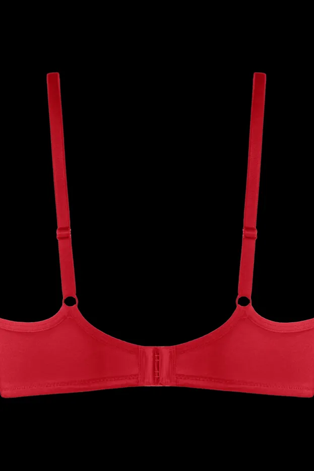 dame-de-paris-care-bra