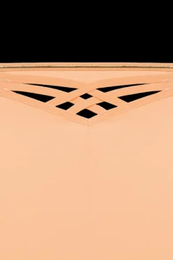 dame-de-paris-high-waist-briefs