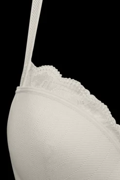 the-mauritshuis-push-up-bra